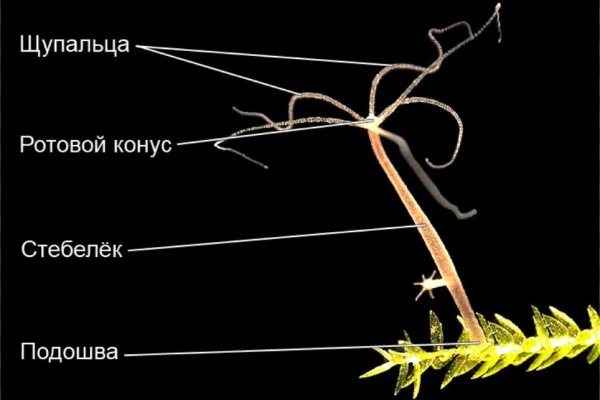 Кракен официальная kr2web in