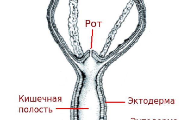 Магазин кракен дарк