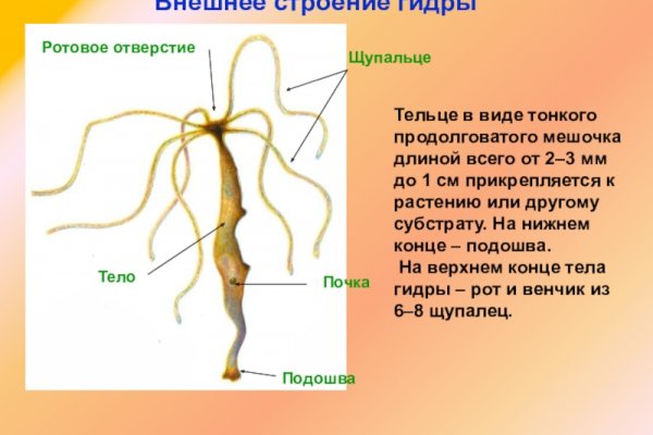 Нарко маркетплейсы